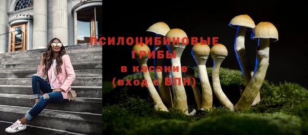 ALPHA PVP Осташков