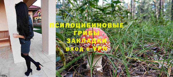 не бодяженный Михайлов